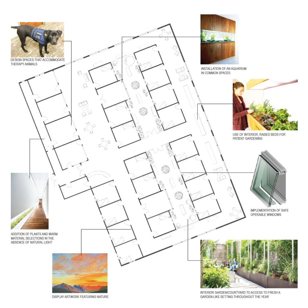 Storyboard showing plan drawing highlighting specific green space features